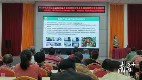 專家支招助力產(chǎn)業(yè)發(fā)展，茂南舉辦荔枝產(chǎn)業(yè)技術(shù)培訓班